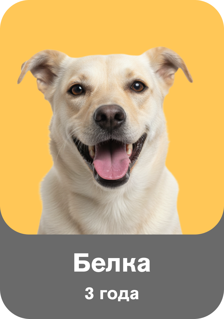 Белка